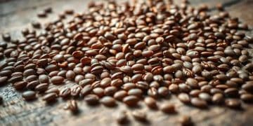 Seeds flax benefits of health you need to know