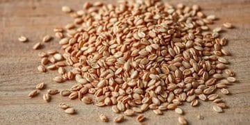 Seeds flax health benefits of omega-3 and more