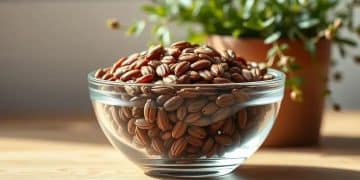 Of flax health seeds benefits for your well-being
