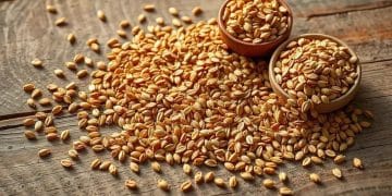 Benefits health flax seeds of your diet
